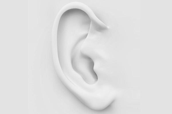 Audition : oreille externe